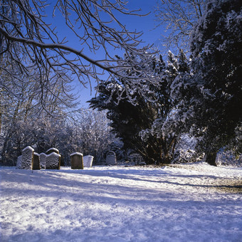 雪停靠冬天阳光