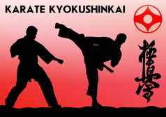 武术art-karate京新会