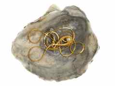 金项链珍珠oystershell