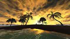 夏威夷日落热带天堂
