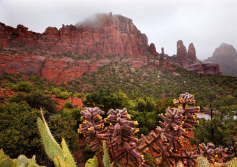 麦当娜修女红色的岩石峡谷雨云塞多纳亚利桑那州