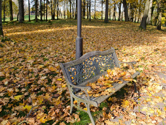 复古的钢板凳上秋天公园色彩斑斓的叶子