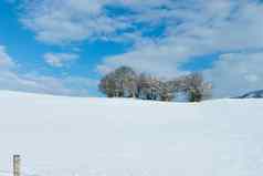 美丽的阳光明媚的景观冬天蓝色的天空