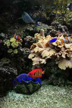 水族馆背景