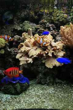 水族馆背景