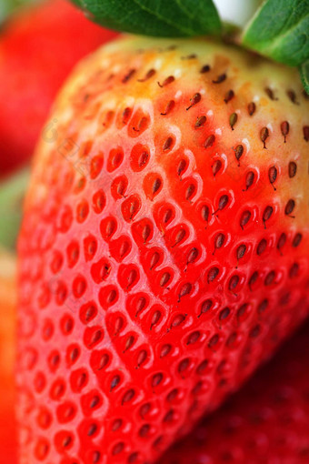 宏背景大红色的草莓