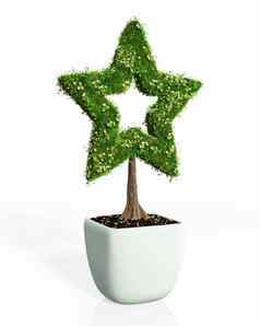 植物形状明星