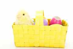 小鸡篮子色彩斑斓的复活节鸡蛋