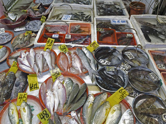 香港旺角湿市场鱼