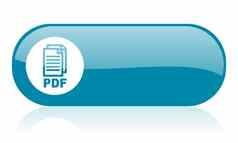 PDF蓝色的网络光滑的图标