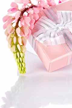 粉红色的羽扇豆礼物盒子