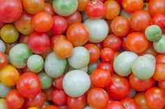 色彩斑斓的番茄
