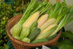 篮子蔬菜甜蜜的玉米苦gorud葱