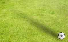 橡皮泥足球草背景
