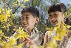 微笑年轻的男孩女孩黄色的花朵树公园春天
