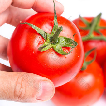 检查新鲜的成熟的红色的番茄吃