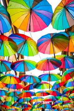 集色彩斑斓的雨伞阳伞涵盖了小小巷布加勒斯特