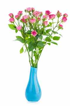 群小粉红色的玫瑰蓝色的陶瓷花瓶