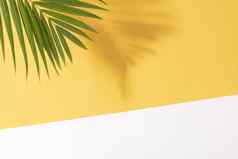 绿色热带棕榈叶子黄色的背景阳光最小的夏天有创意的平躺