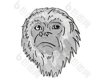 尤卡坦半岛黑色的吼猴子卡通复古的画