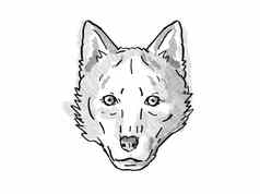 红色的狼濒临灭绝的野生动物卡通复古的画