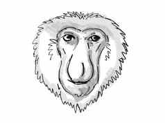 长鼻猴子濒临灭绝的野生动物卡通复古的画