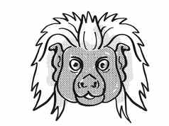 cottontop绢毛猴濒临灭绝的野生动物卡通单行画