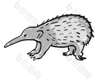 西方long-beaked针鼹鼠濒临灭绝的野生动物卡通单行画