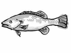 鳟鱼鳕鱼澳大利亚鱼卡通复古的画