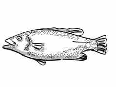 hapuku新西兰鱼卡通复古的画