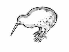 猕猴桃新西兰鸟卡通复古的画