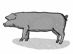 大黑色的猪品种卡通复古的画