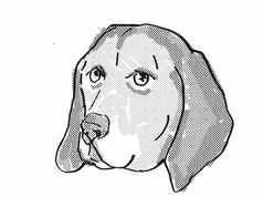 美国英语猎浣熊犬狗品种卡通复古的画