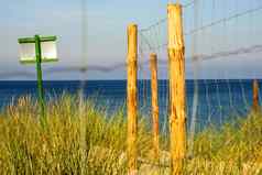 波罗的海海波兰海滩海滩草表格