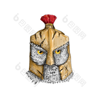 猫头鹰穿斯巴达式的头盔纹身