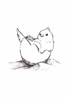鸟蛋壳躺沙子行画卡通风格插图白色背景单色草图设计宠物艺术作品广告着色书教科书小孩子们
