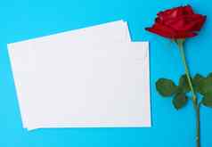 红色的盛开的玫瑰白色纸信封蓝色的背景