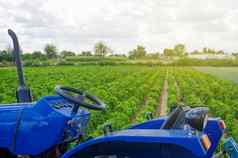 蓝色的拖拉机背景绿色场保加利亚胡椒种植园农业农业农业机械设备工作农场播种收获