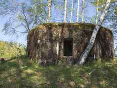 被遗弃的世界战争混凝土地堡罗派克桦木树森林lusitian山捷克共和国德国边界
