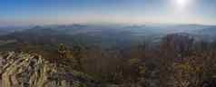 全景视图klic阿比拉什有吸引力的中诚信劳济茨人的山秋天彩色的落叶松柏科的树森林绿色山金小时光