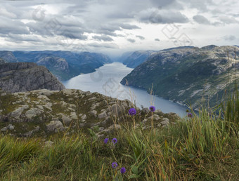 视图峡湾利瑟峡湾<strong>讲坛</strong>岩巨大的悬崖著名的挪威的观点盛开的紫罗兰色的花喜怒无常的天空秋天一天自然旅行背景假期徒步旅行假期