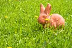 复活节兔子绿色草地蒲公英花