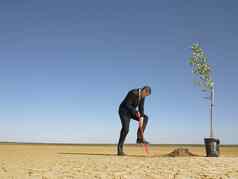 商人种植树沙漠完整的长度