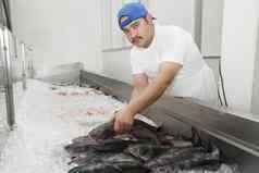 年轻的鱼贩持有鲭鱼在混合鱼冰鱼市场