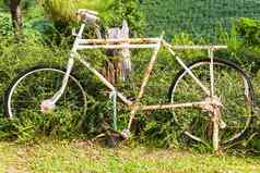 白色自行车生锈的花园