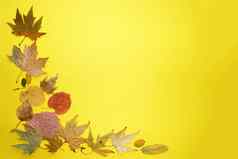 秋天叶子黄色的背景复制空间模型空白