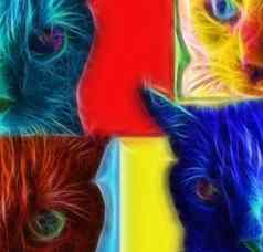 色彩斑斓的猫