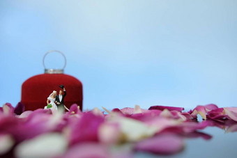 微型摄影户外婚姻婚礼概念新娘新郎走前面打开环盒子红色的白色玫瑰花桩