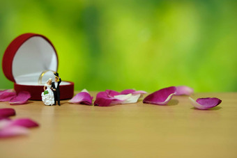 微型摄影户外花园婚礼仪式概念新娘新郎站环盒子中间红色的玫瑰花桩
