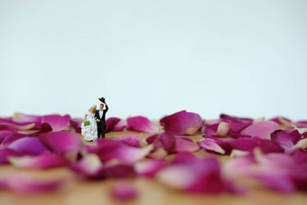 微型摄影户外婚礼花园婚礼仪式概念新娘新郎走红色的玫瑰花桩